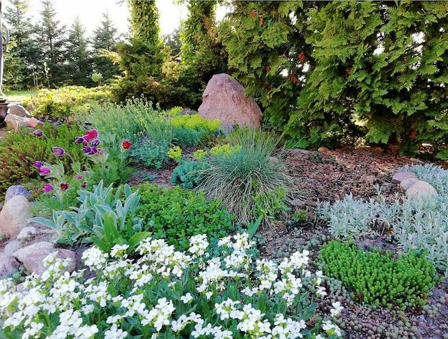 Siedlisko 7150m2 k/Modlina woj. mazowieckie