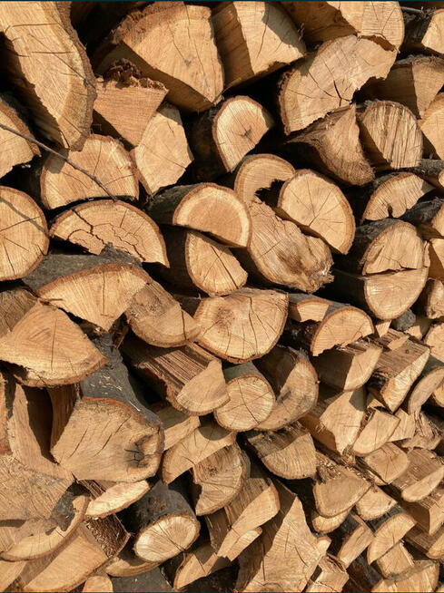 Drewno kominkowe opałowe