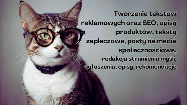 Korekty językowe tekstów - dla studentów i pisarzy