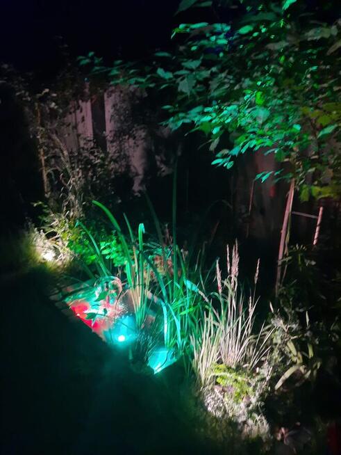 USŁUGI SPRZĄTAJĄCE DOM I OGRÓD. CLEANING&GARDEN