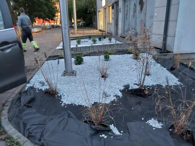 Usługi ogrodnicze szybko i tanio