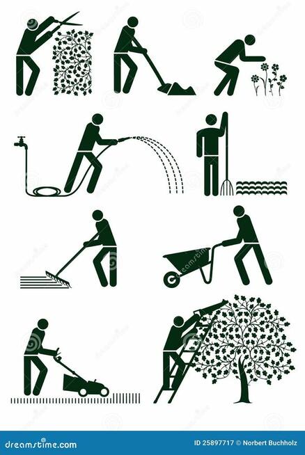 Usługi ogrodnicze szybko i tanio