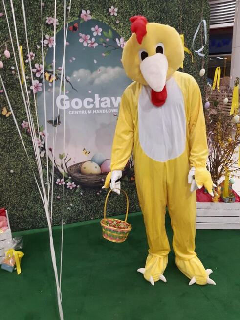 zając kurczak wielkanocny żywa maskotka wynajem z animatorem