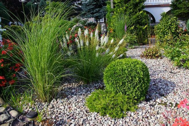 Usługi ogrodnicze szybko i tanio