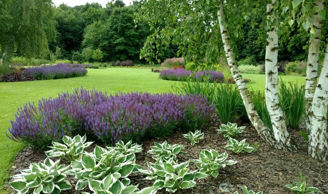 Usługi ogrodnicze szybko i tanio
