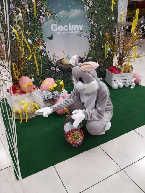 zając kurczak wielkanocny żywa maskotka wynajem z animatorem