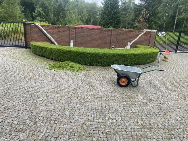 Pielęgnacja ogrodów koszenie i prace porzadkowe