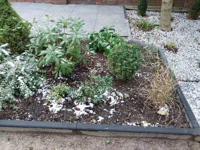 Usługi ogrodnicze szybko i tanio