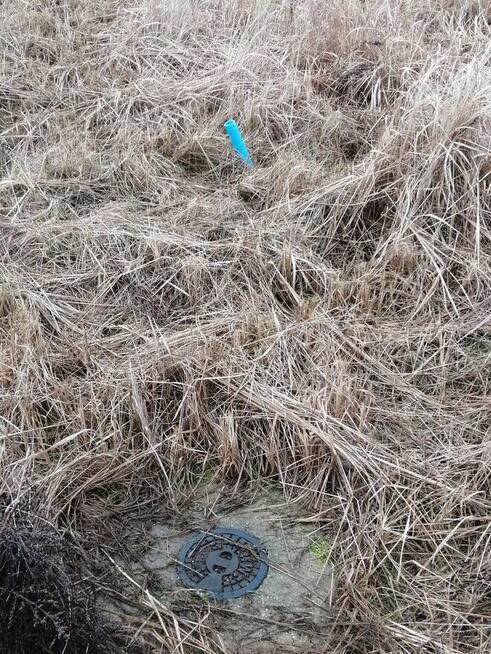 Budowlano-rekreacyjna Sikory gm. Wieliszew