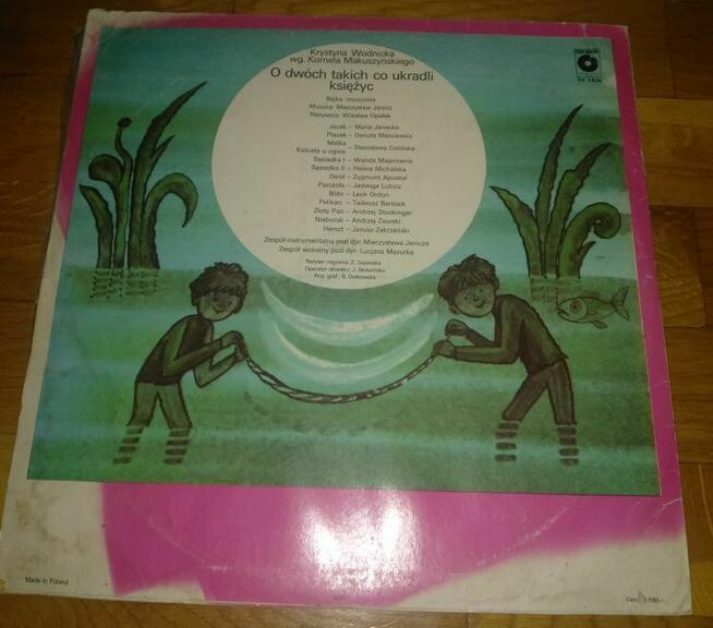 Płyty winylowe i szelakowe