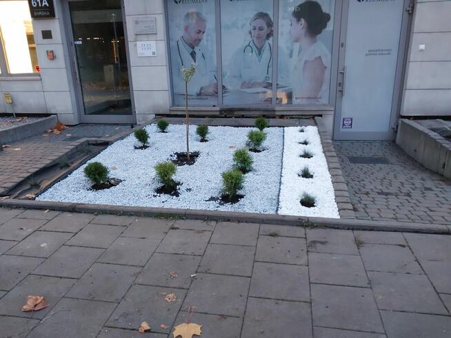 Usługi ogrodnicze szybko i tanio