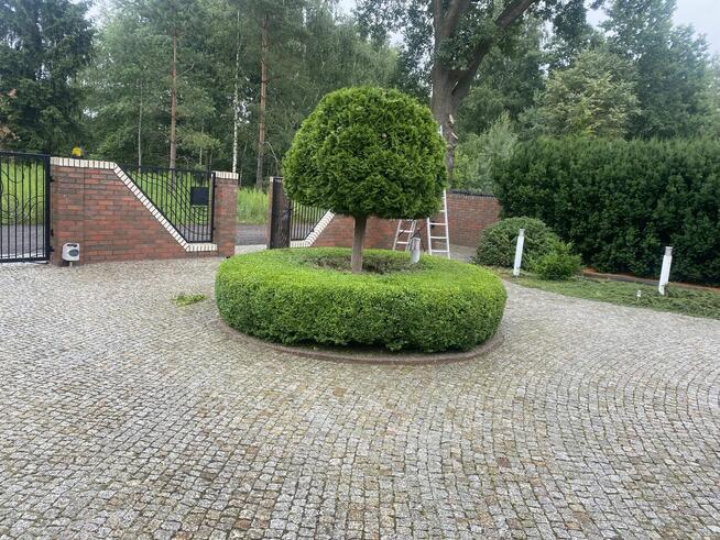 Pielęgnacja ogrodów koszenie i prace porzadkowe