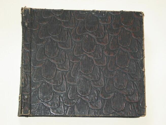 Płyty winylowe i szelakowe