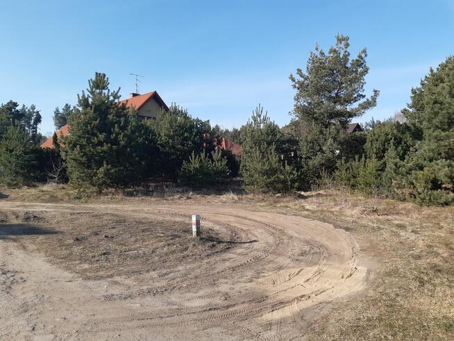 Działka w Niewodnicy Koryckiej