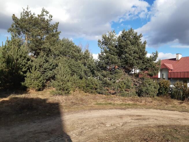 Działka w Niewodnicy Koryckiej