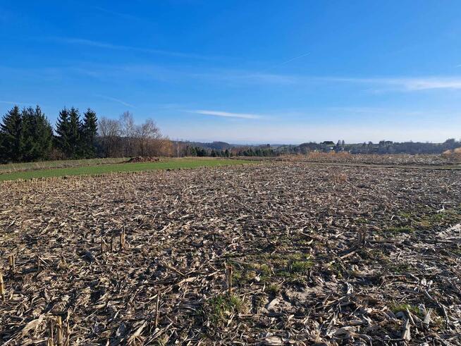 Działka rolno-budowlana Cianowice gm. Skała