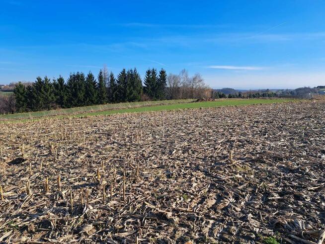 Działka rolno-budowlana Cianowice gm. Skała