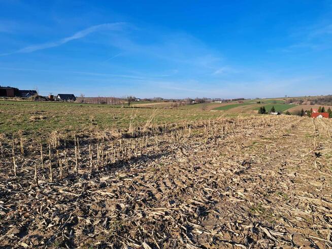 Działka rolno-budowlana Cianowice gm. Skała