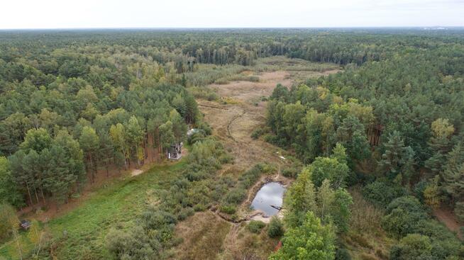 Działka leśna Warszawa Wesoła