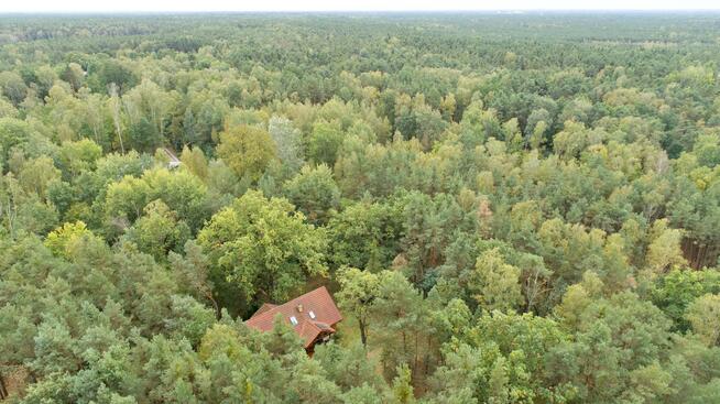 Działka leśna Warszawa Wesoła