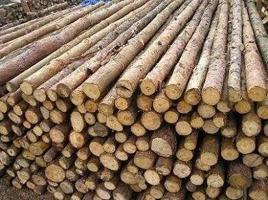 Nowe Stemple budowlane – Andrychów , Kęty