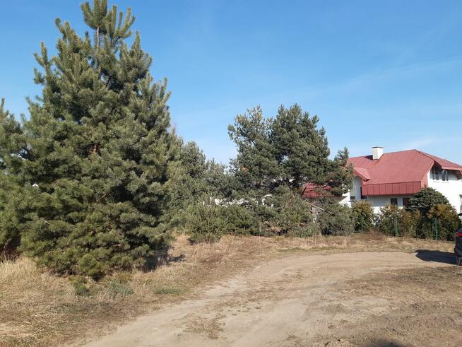 Działka w Niewodnicy Koryckiej