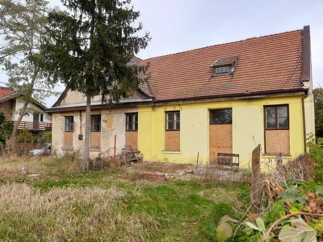 Oddam dachówkę ceramiczną z rozbiórki