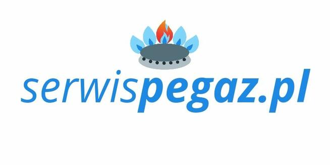 Serwis I konserwacja pieców kotłów i podgrzewaczy gazowych