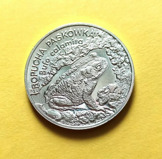 2 zł 1998 r. Ropucha Paskówka