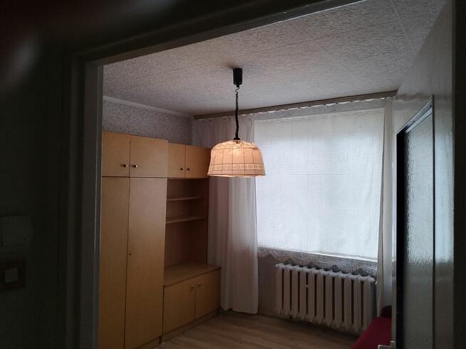 Pokój do wynajęcia