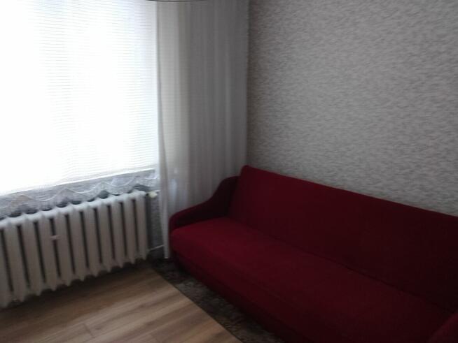 Pokój do wynajęcia