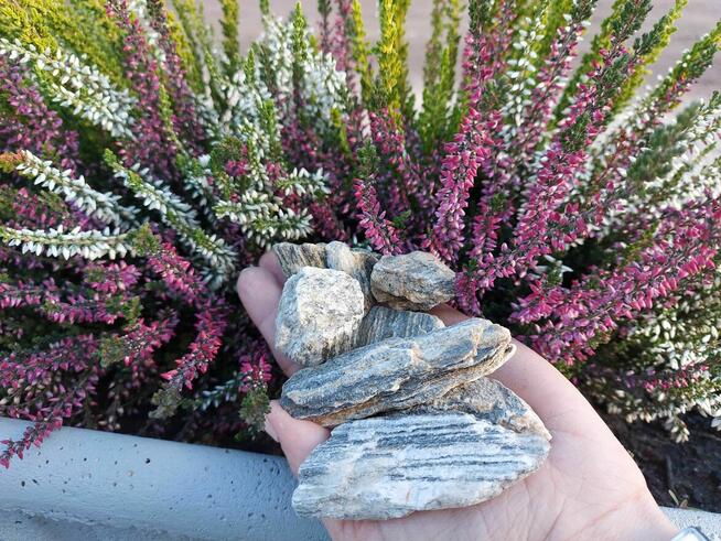 Kora kamienna, dekoracyjna