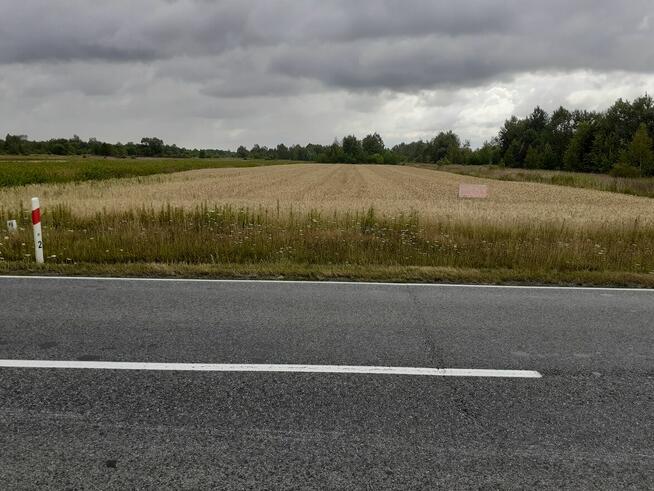 Atrakcyjna działka w Sarzynie