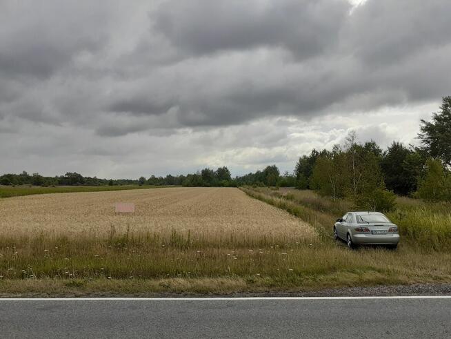 Atrakcyjna działka w Sarzynie