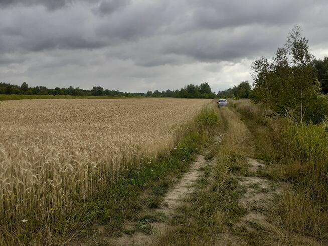 Atrakcyjna działka w Sarzynie