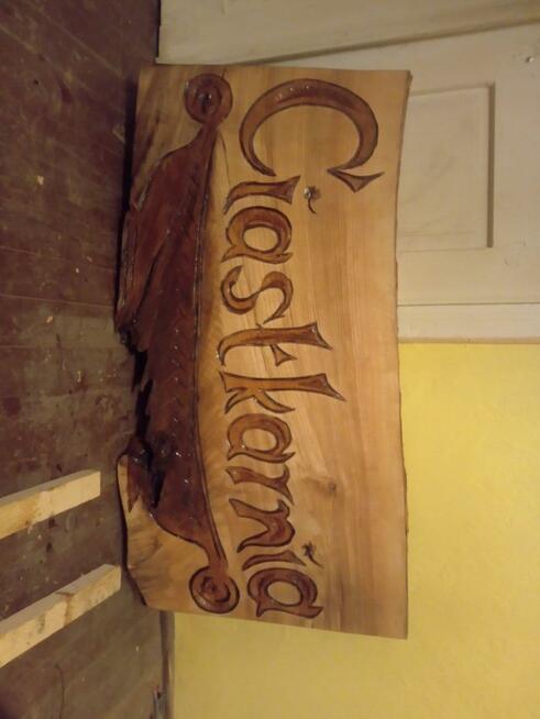 Ilustrator, rysownik