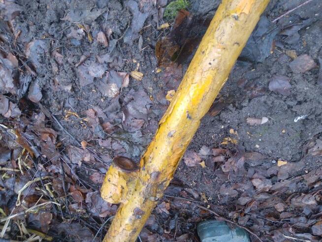 Brama rama dwuskrzydłowa PRL 160cm x 320cm 1,6m x 3,2m