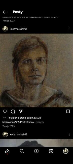 Ilustrator, rysownik