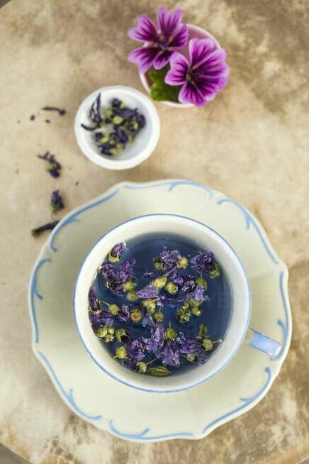 Sprzedaż hurtowa Mauretański malwa od producenta