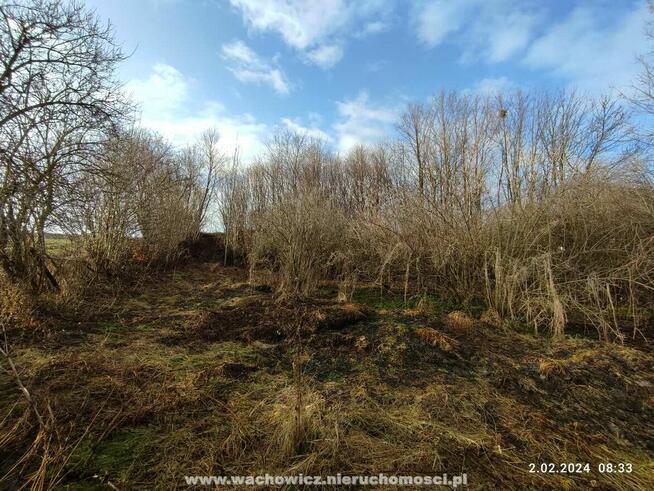 Dom drewniany na działce 21ar - Janowice, gm. Słaboszów