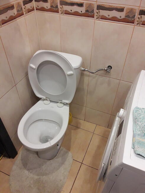 Pokój do wynajęcia