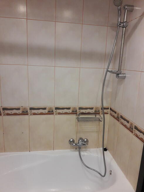 Pokój do wynajęcia