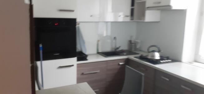 Pokój do wynajęcia