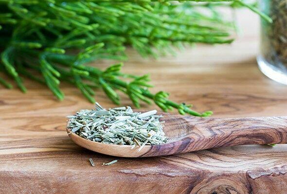 Sprzedaż hurtowa Skrzyp ziele od producenta