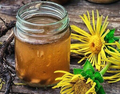 Sprzedaż hurtowa Korzeń omanu od producenta