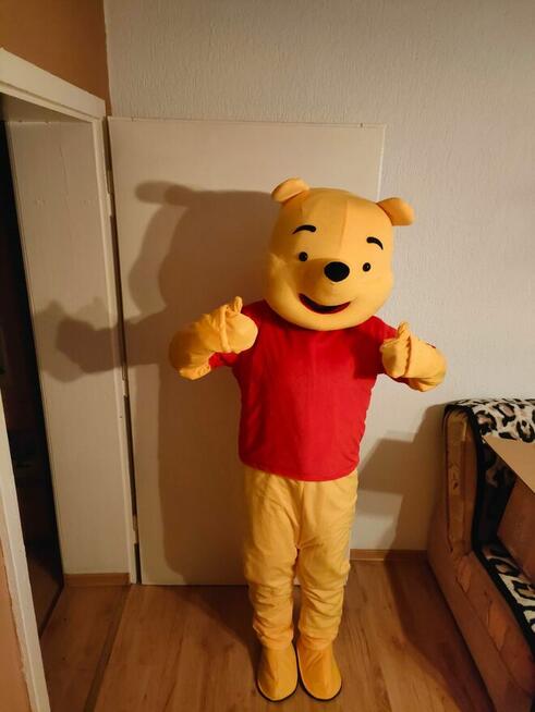 Wynajem stroju kostiumu Myszka Miki Kubuś Puchatek