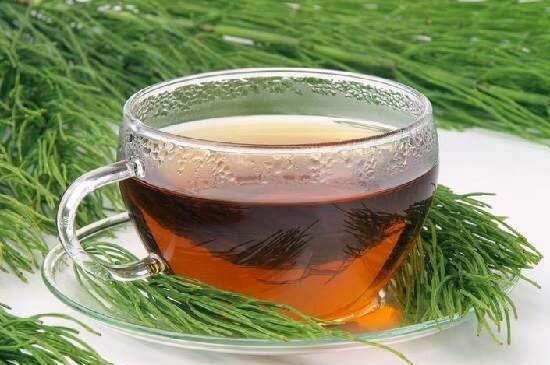 Sprzedaż hurtowa Skrzyp ziele od producenta