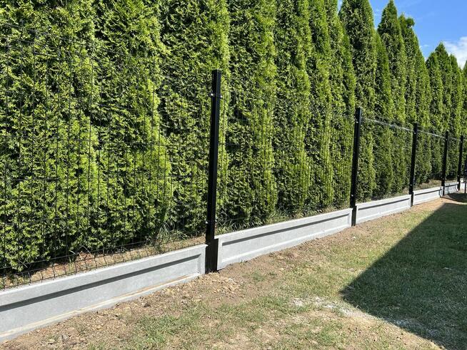 Ogrodzenia Montaż Dostawa 40 ZŁ