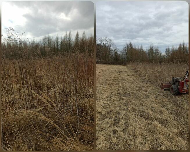 Koszenie trawy, nieużytków, kosiarka bijakowa, karczowanie