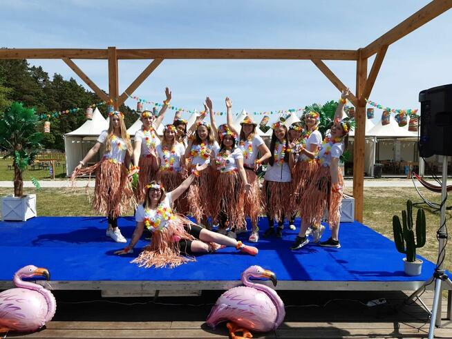 organizacja pikniku przedszkolnego, szkolnego, firmowego